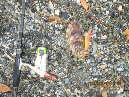 小さい・・・(-_-;)